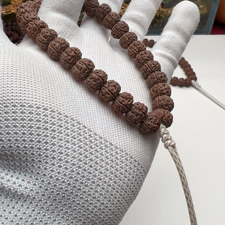 落***生金刚菩提手串老树王11s