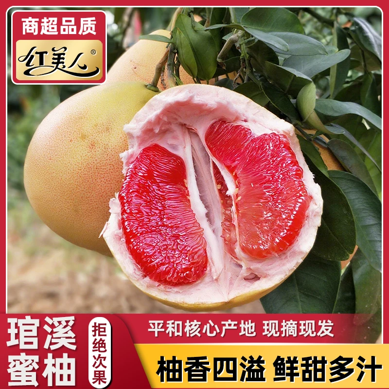【琯溪蜜柚】平和红蜜柚新鲜采摘柚子香甜爽口多汁当季水果下杨梅