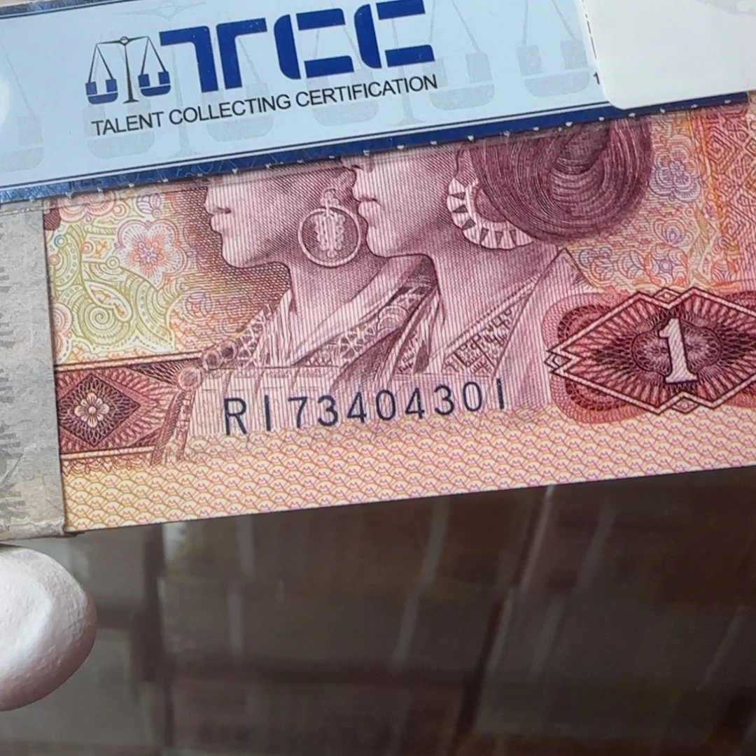 801整刀。。。。。。。。。。。