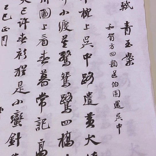 书法张建东老师书法作品