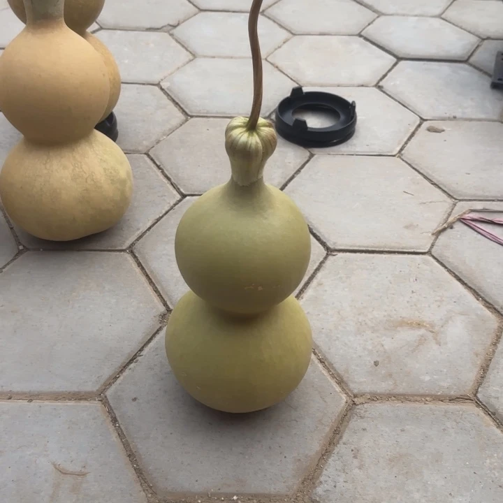 咕噜咕噜咕噜咕噜