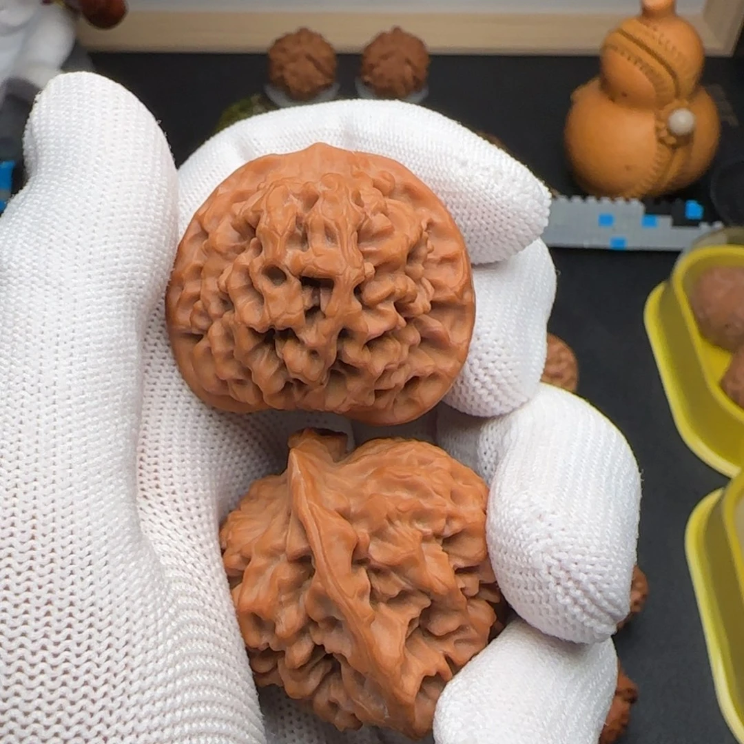 文玩核桃吊坠原树