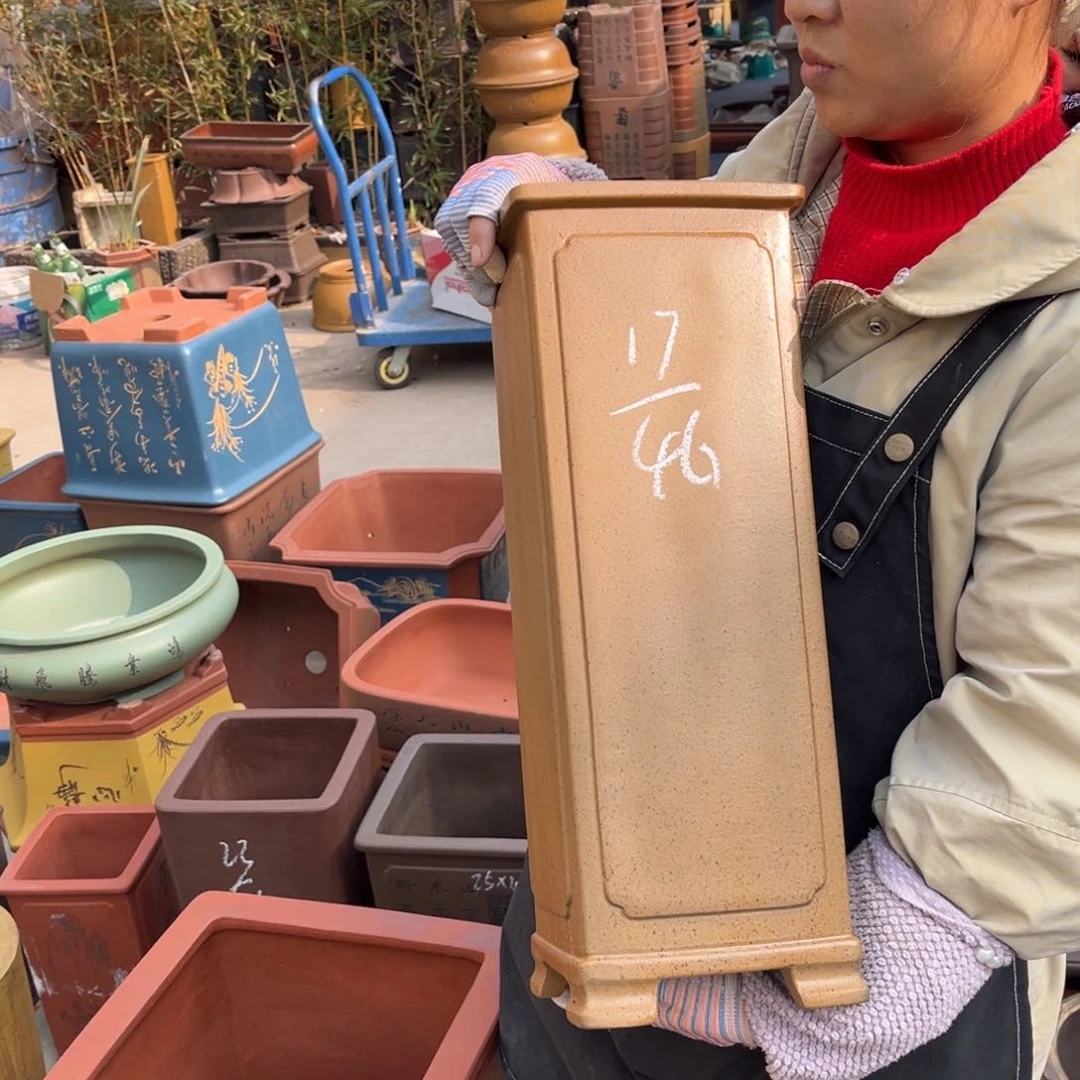 紫砂花盆盆景艺术