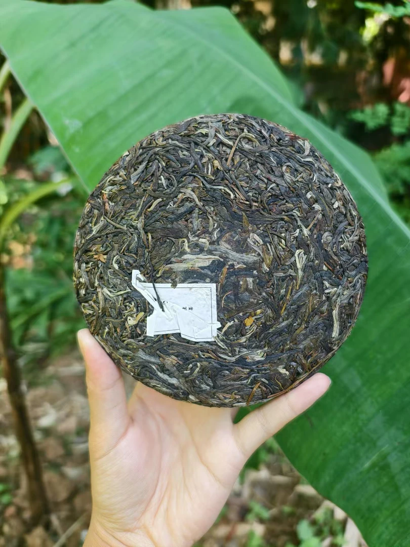 【新品】2025 倚邦细叶  普洱生茶 200g饼（带茶样）
