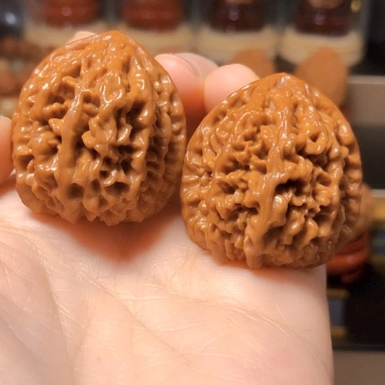 油蜡皮：卧龙粗筋手捻