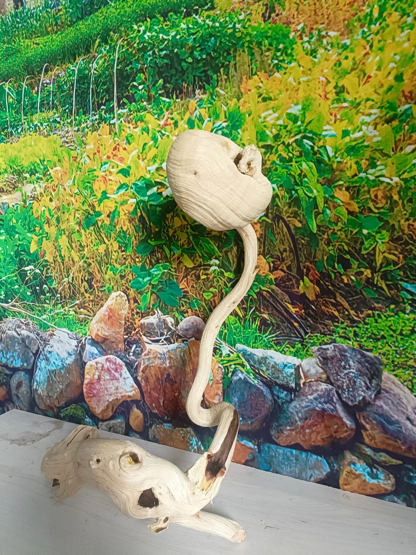 大瑶山穿破实木榴花疙瘩花摆件。