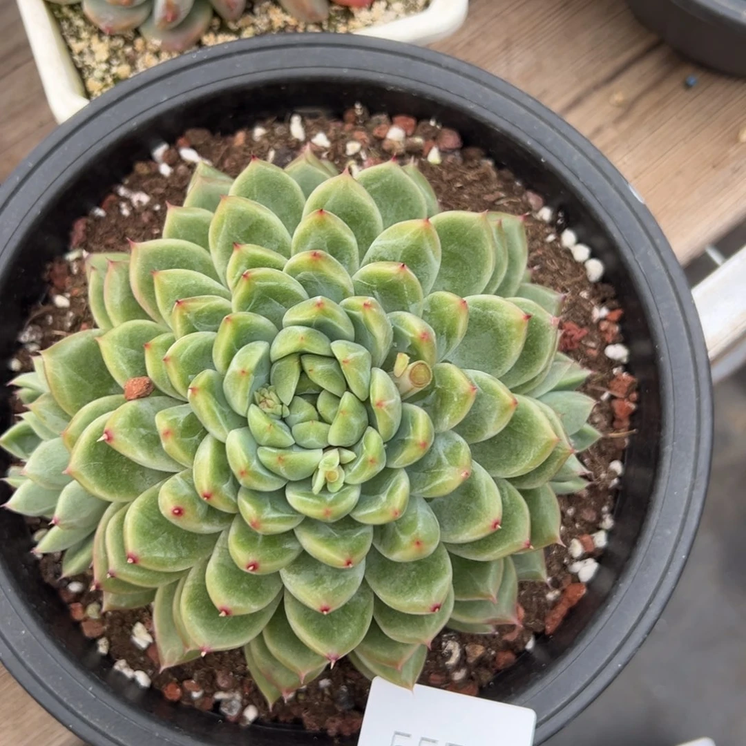 爱****】5574肉肉肉肉肉肉肉肉