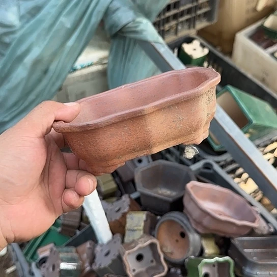 我是第十二次看到这种人出现吗