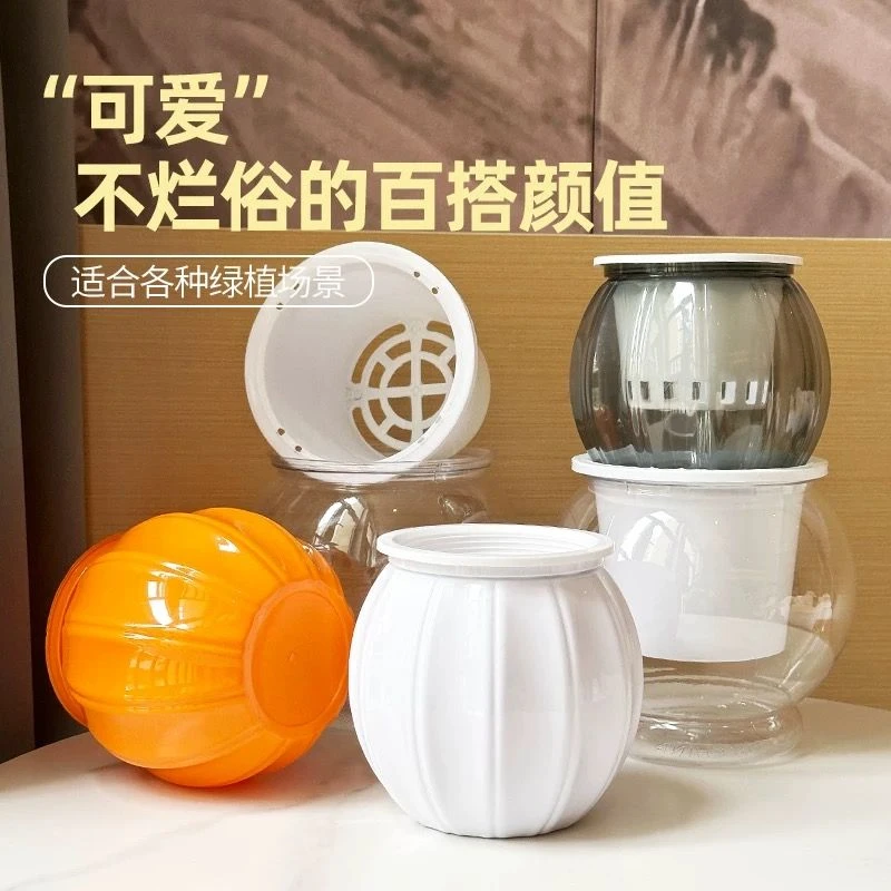 【抢】桌面懒人南瓜花盆自吸水简约水培多肉发财树盆栽塑料树脂透明