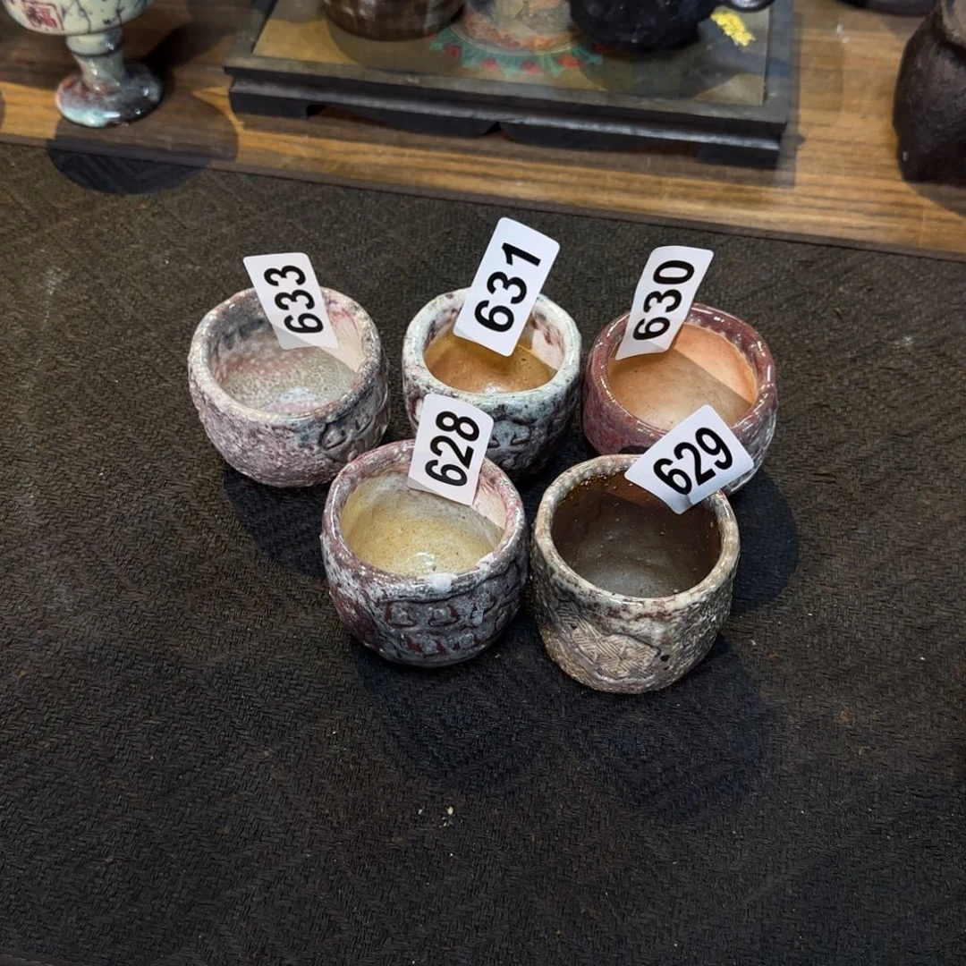 杯舟*5只福利啦全都收了