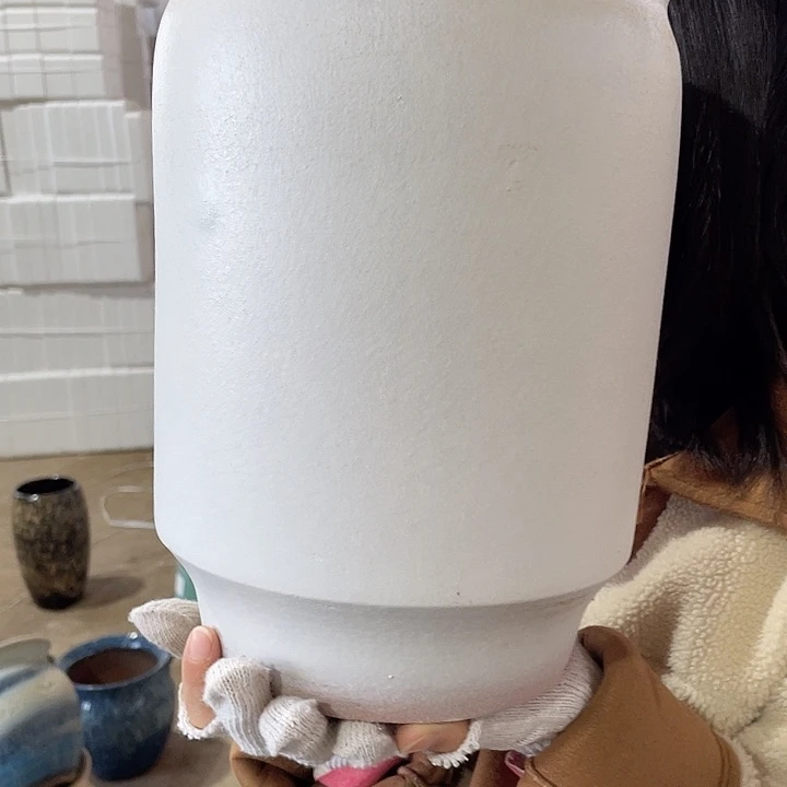 正品一个20/29系列