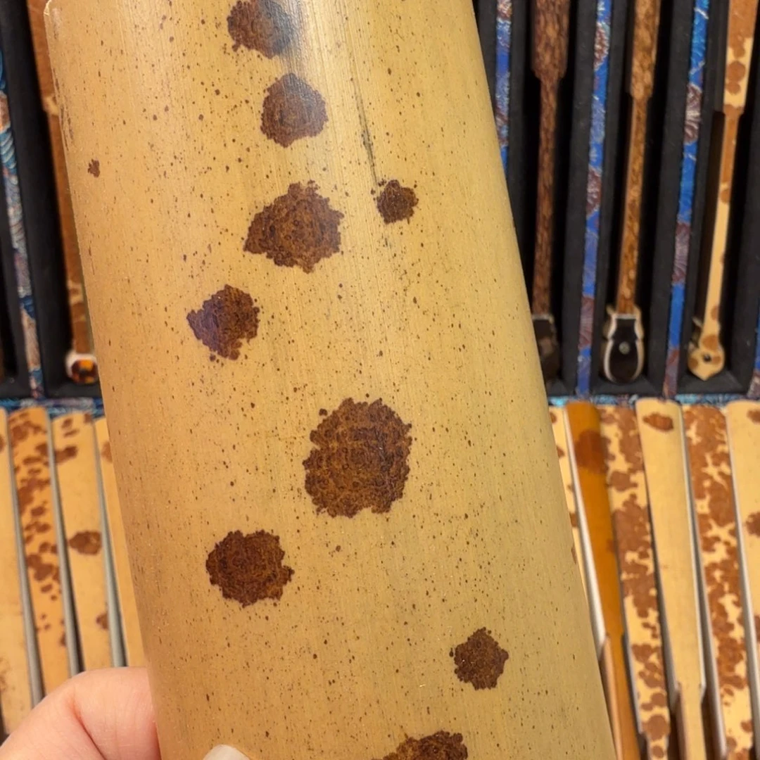 扇子老云妃茶则一个