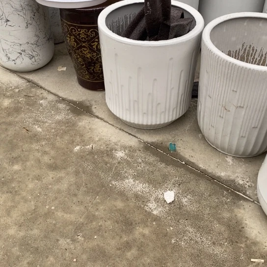 白音符大号口32/36福利