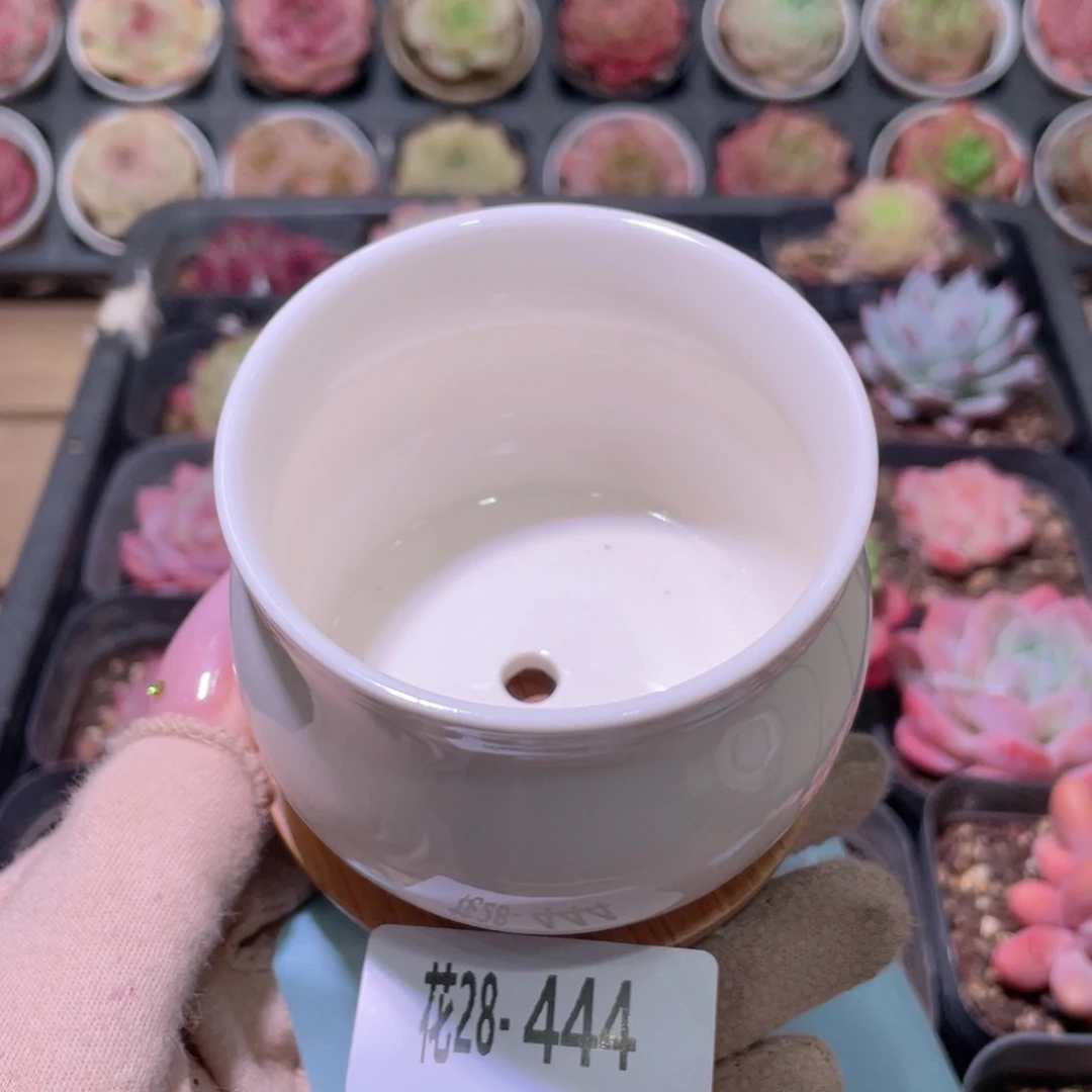 花利美28-444花盆圆1个