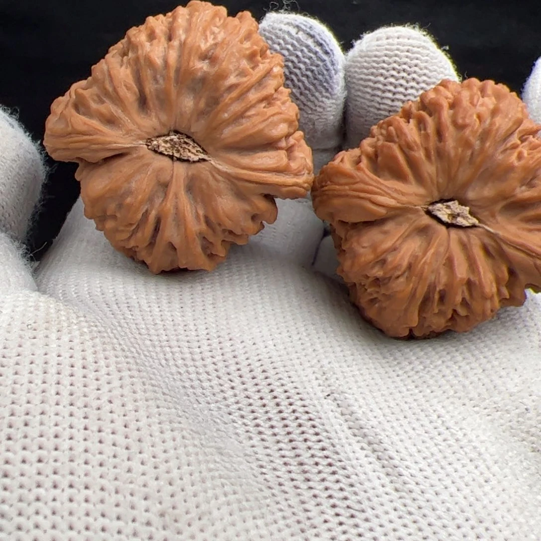 核桃手串/手链大****愁南疆核桃