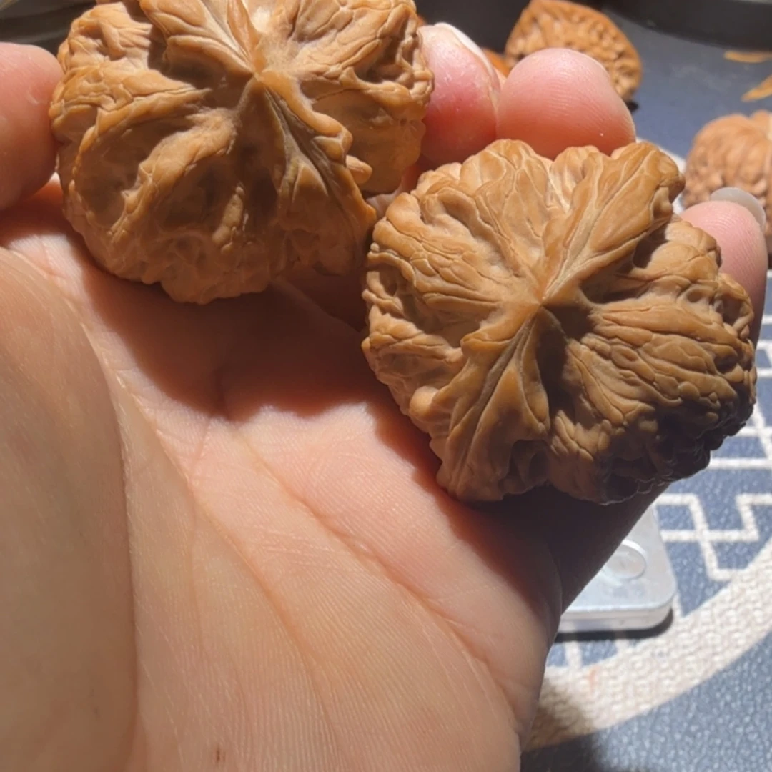 《***》文玩核桃把件红锦鲤