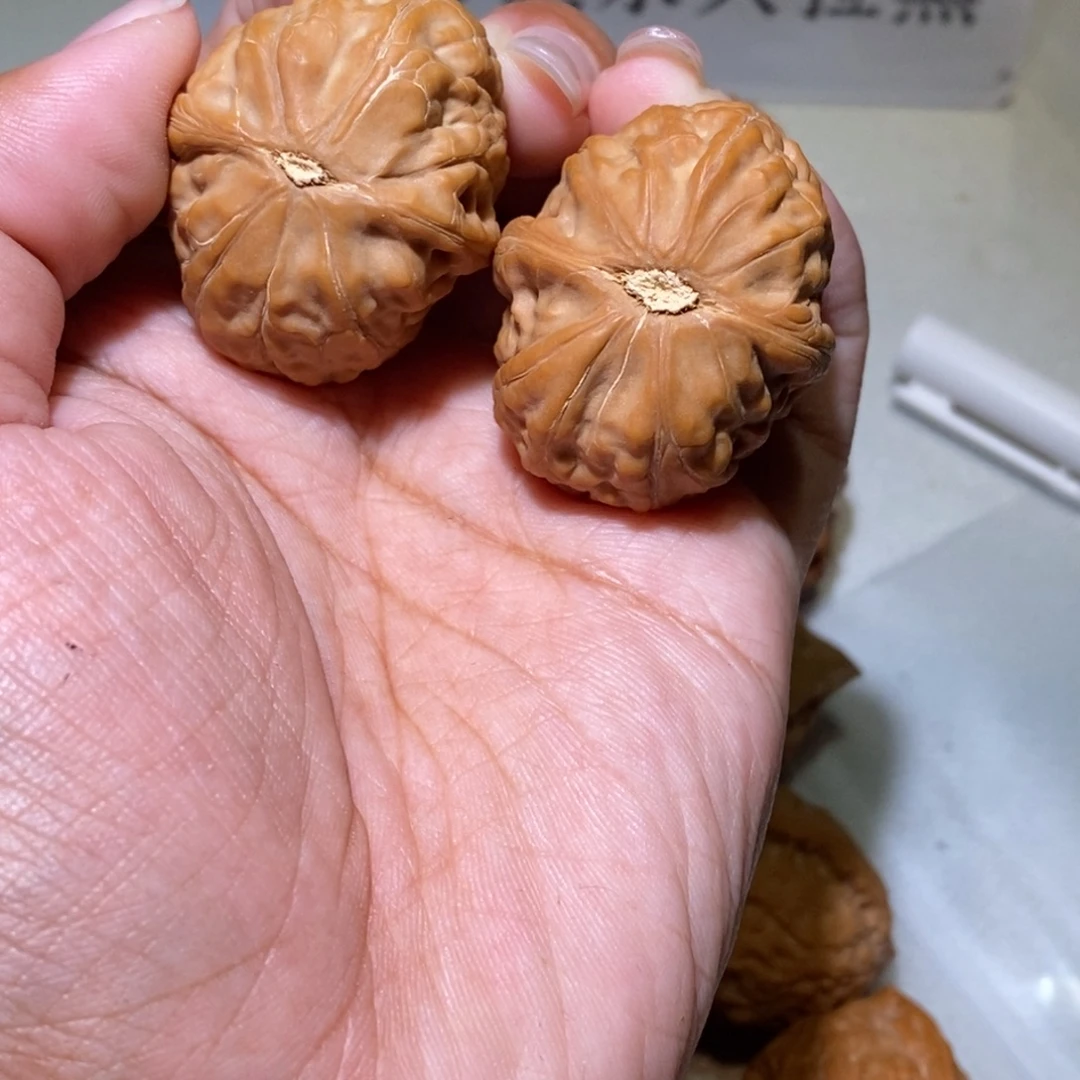 S***r核桃手串/手链舍利