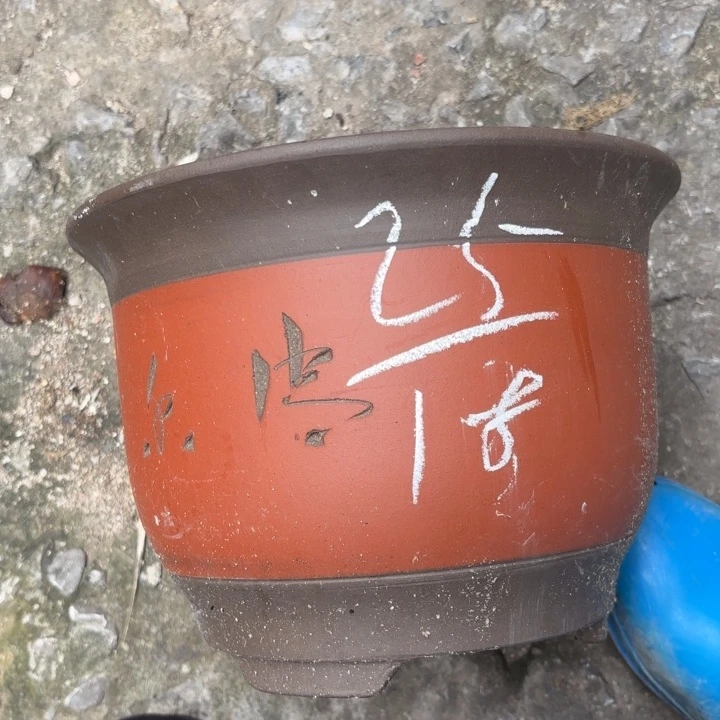 紫砂花盆紫砂的花