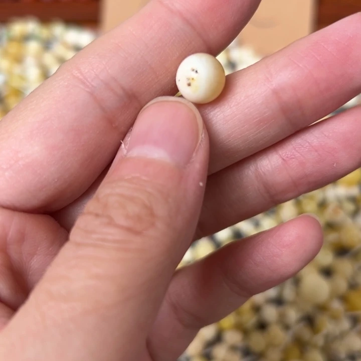 蜜蜡未镶嵌裸石8.6mm一个