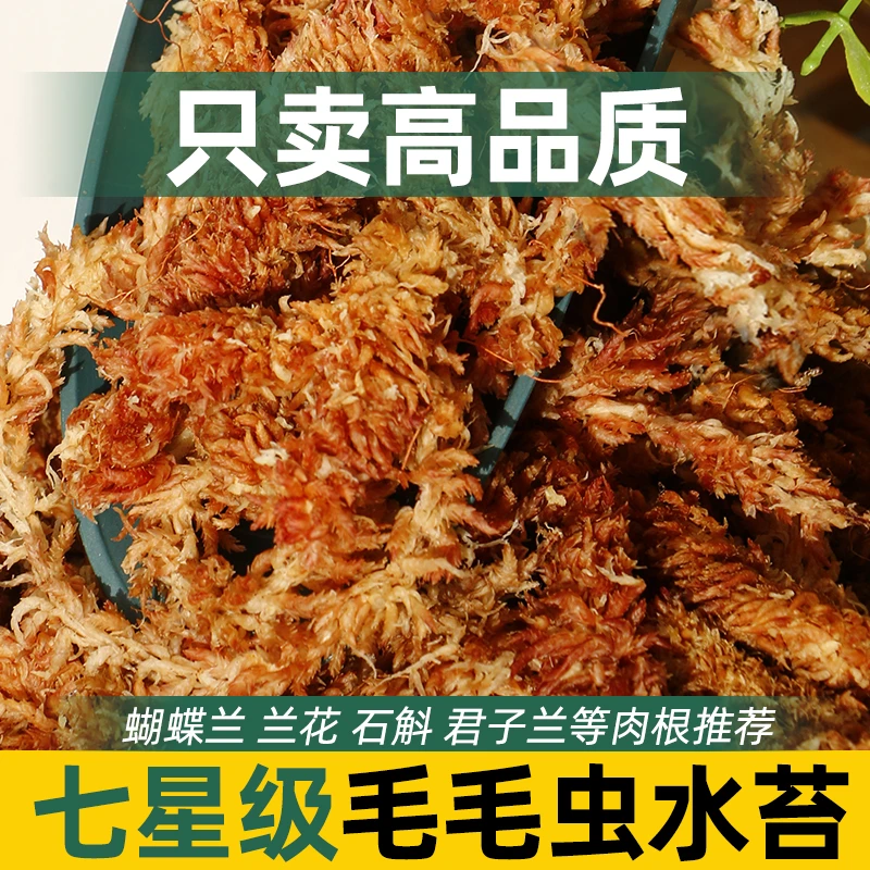 CPAI进口智利基质长条水苔毛毛虫营养土介质干苔藓蝴蝶兰植物专用