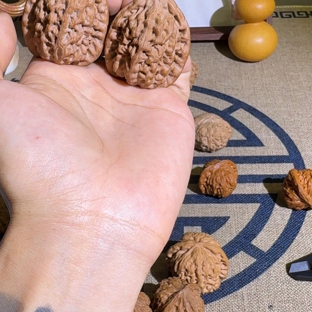 漫***焱哈哈哈哈哈哈哈哈哈哈哈