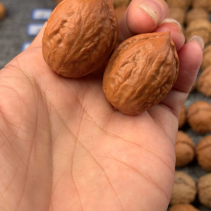 大枣。