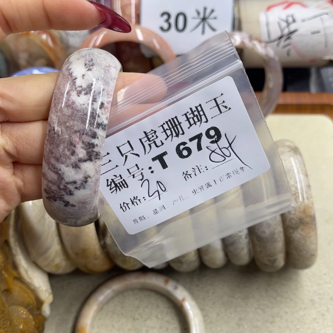 L***在硅化珊瑚（珊瑚玉）未镶嵌h