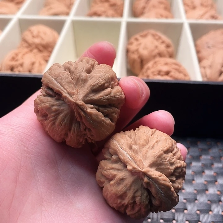 犀***利霸王龙核桃尺寸38