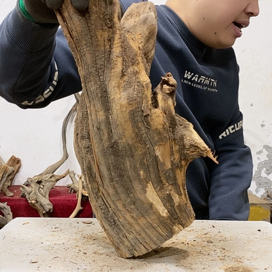 【闪购商品】柏木橡***你我们都是好孩子