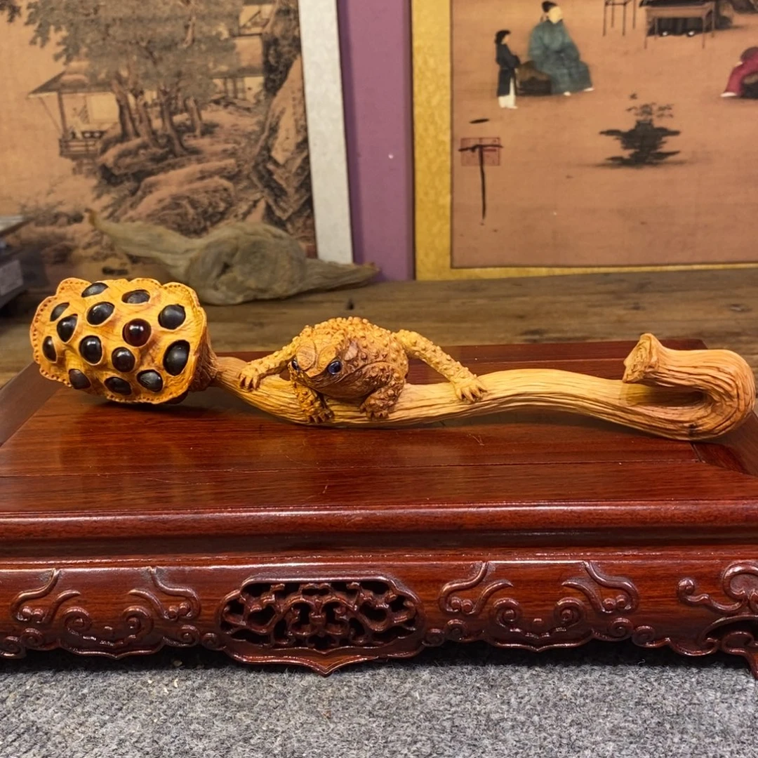 柏木（崖柏）崖柏111111