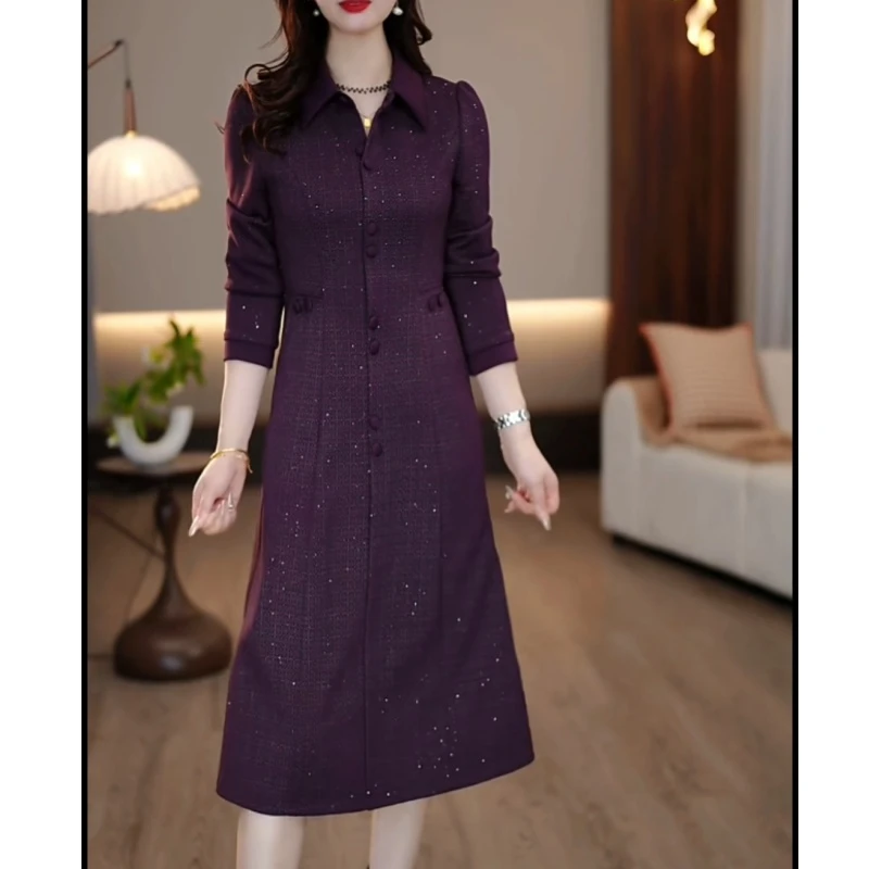 2025春季新款连衣裙气质优雅减龄修身显瘦轻奢气场强大女装