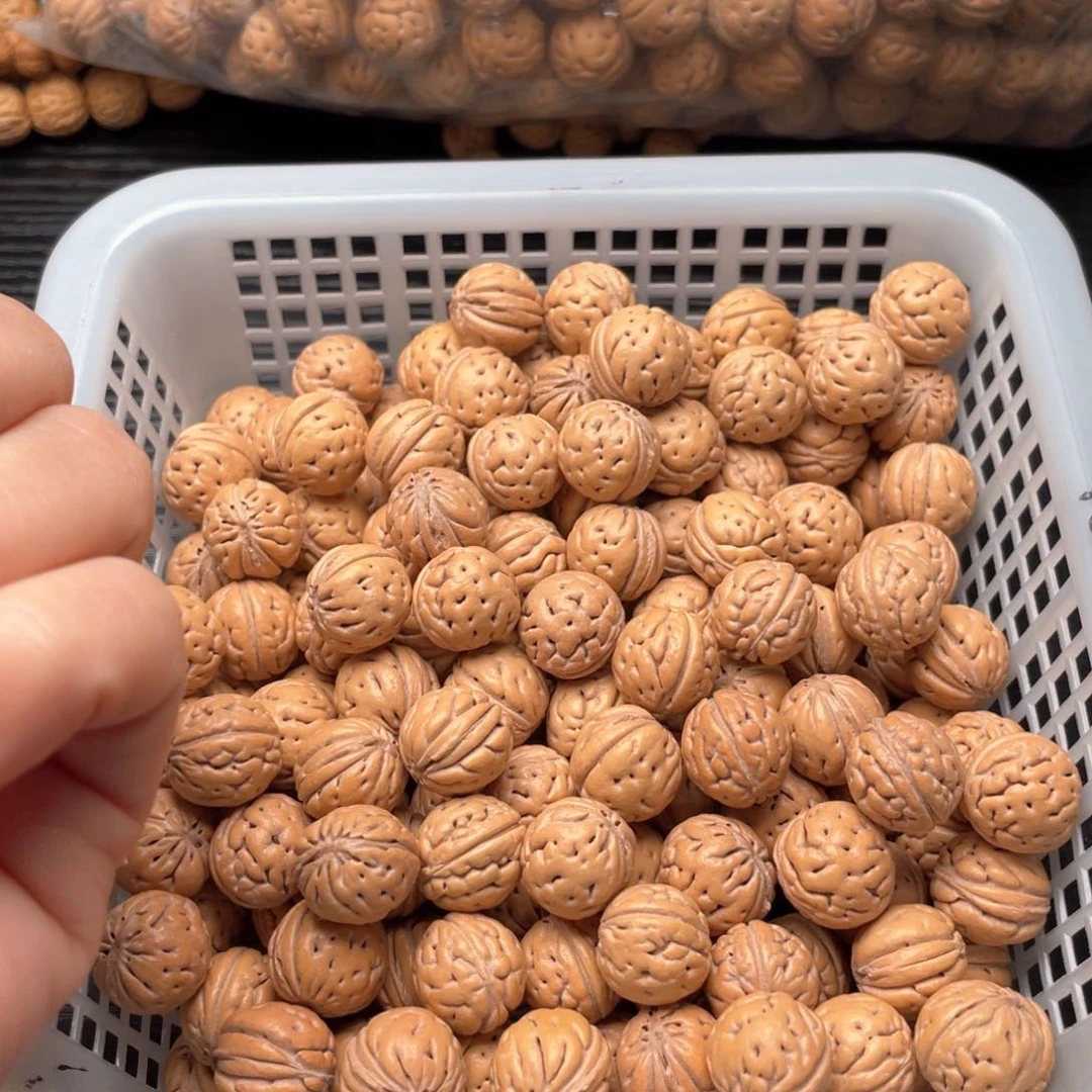 【闪购商品】鹤*?散子发货60个120米