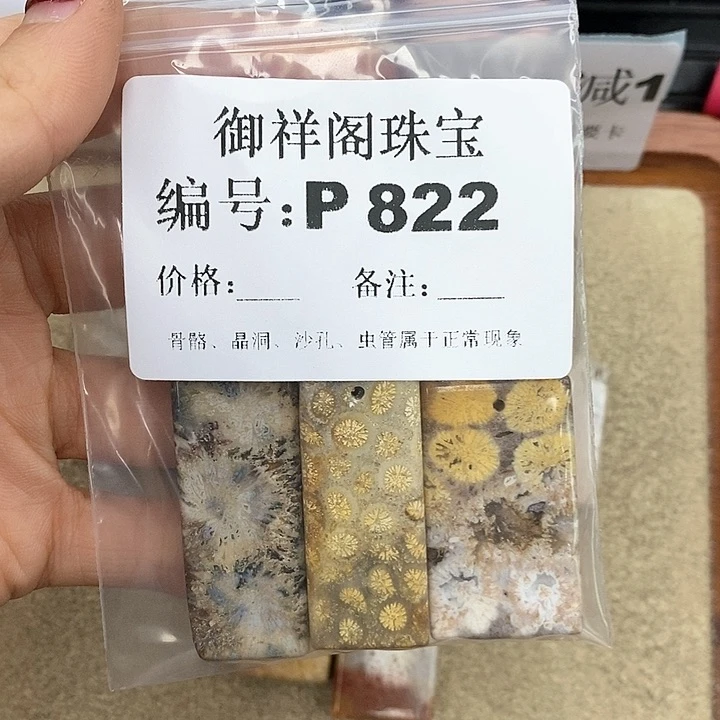 硅化珊瑚（珊瑚玉）P未镶嵌n***1