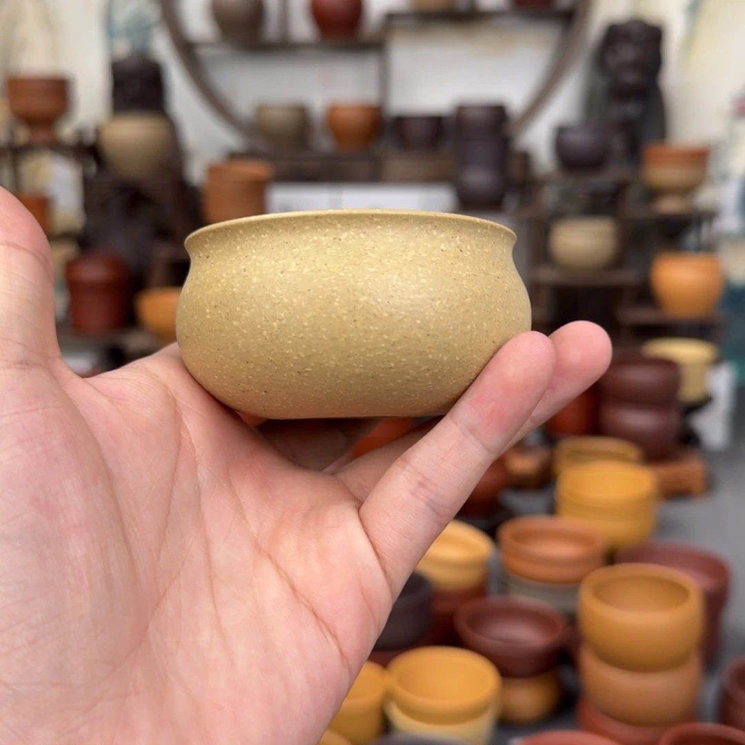 茶杯紫砂856188565464485