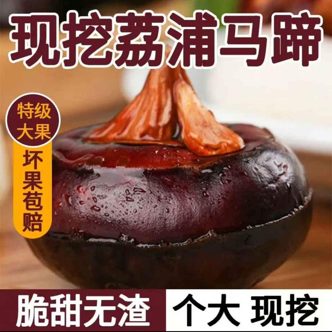 新鲜现挖荔浦马蹄5斤特大果精选网红地栗脆甜无渣农家带泥带皮