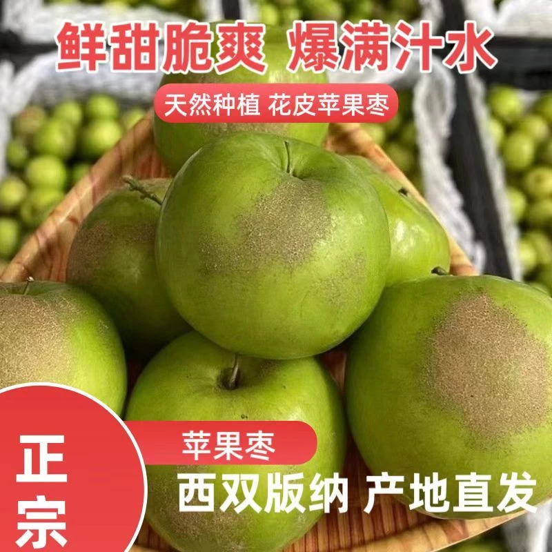 西双版纳雀斑苹果枣很甜西双版纳雀斑苹果枣正宗牛奶贵妃大果脆甜