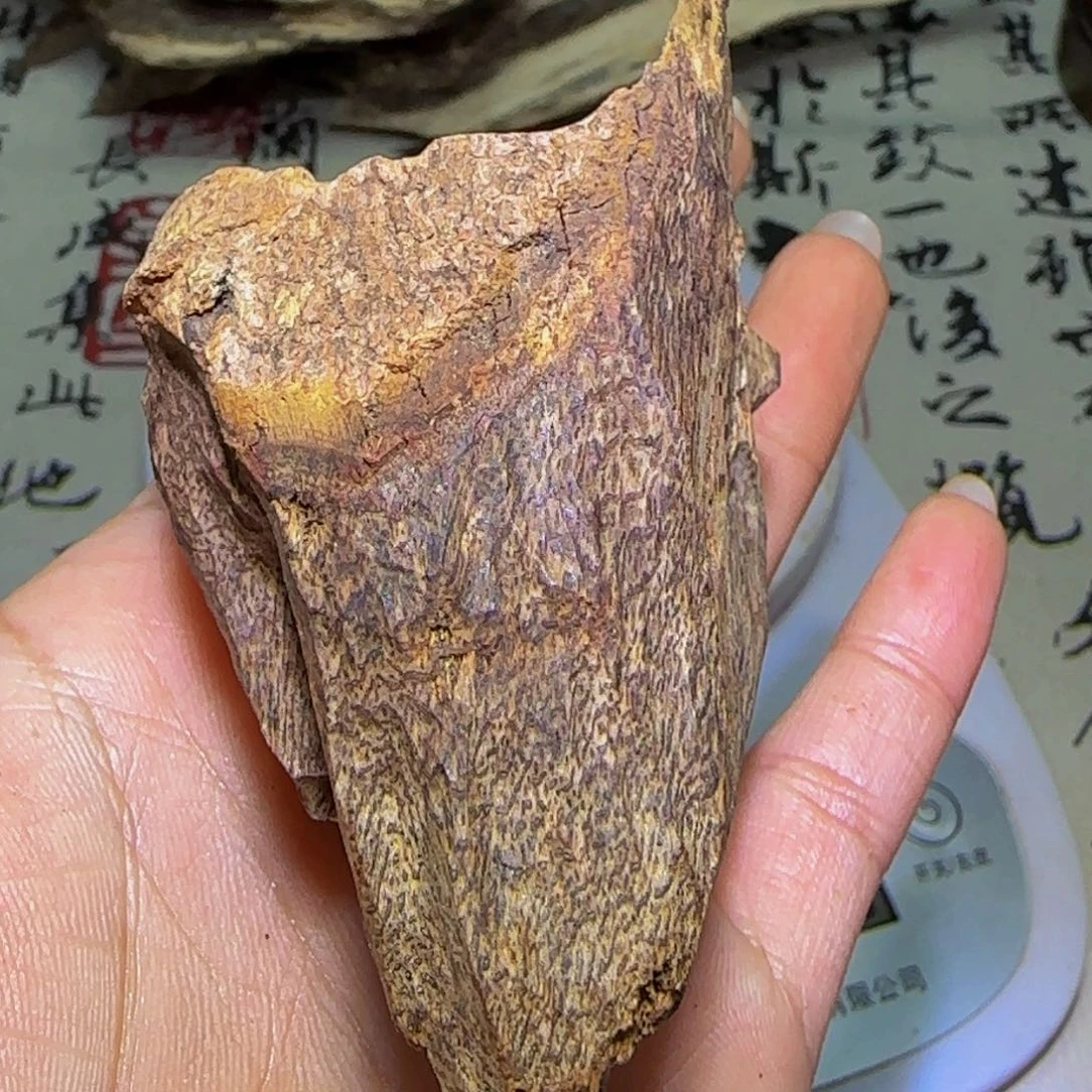 沉香沉香碎屑可****蓝沉香海南大留疤香料40克