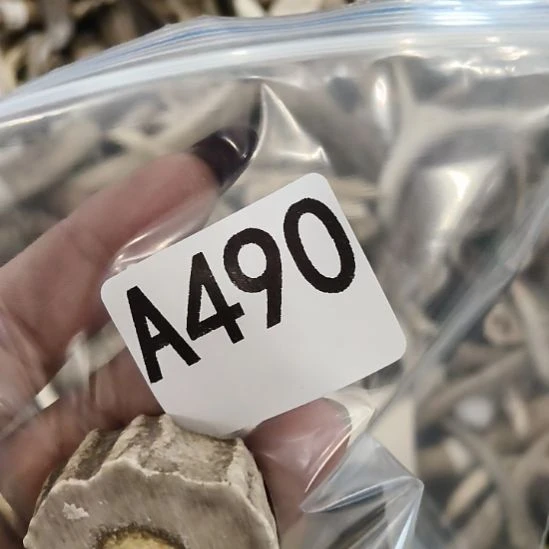 雾***发鹿角鹿角鹿角鹿角鹿角