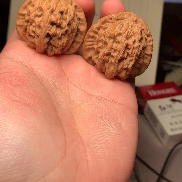 39尺寸全品三角白文玩核桃