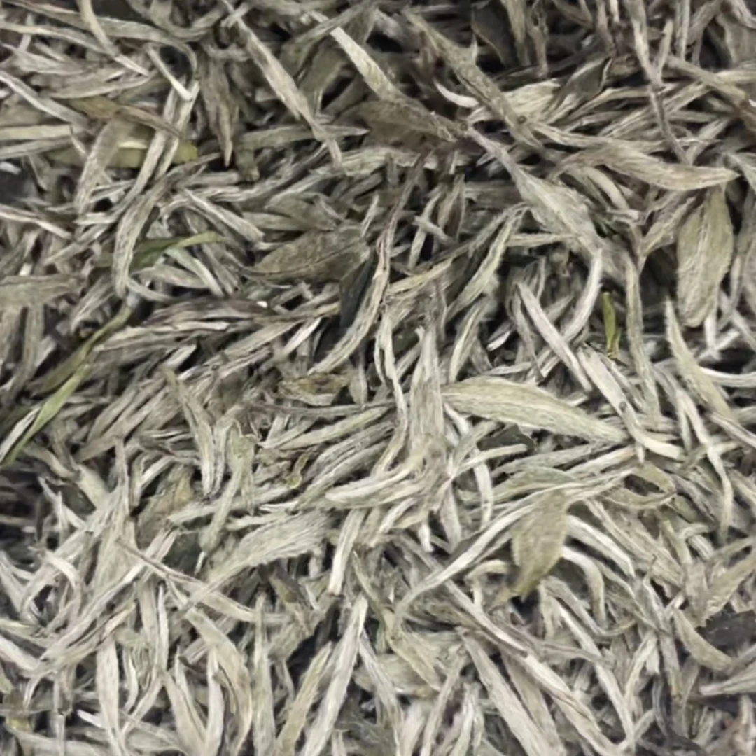 临时链接 看直播 2025年中采白毫银针散茶