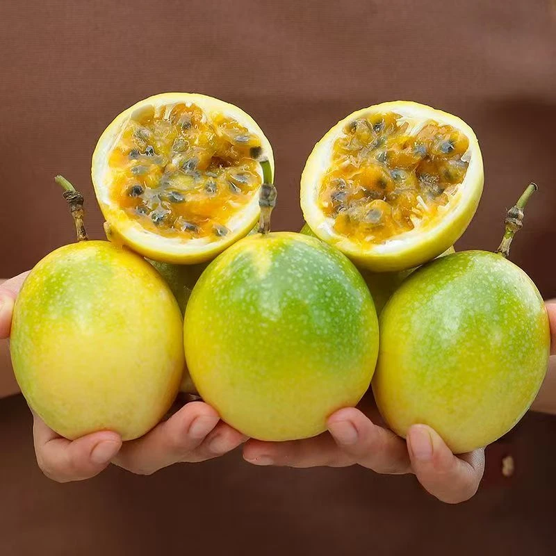钦蜜9号百香果饱满多汁产地直供大果肉多不催熟新鲜采摘营养丰富