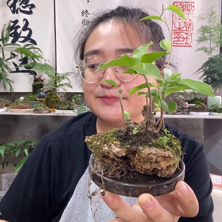 西***风无花朵退款退款拉黑25