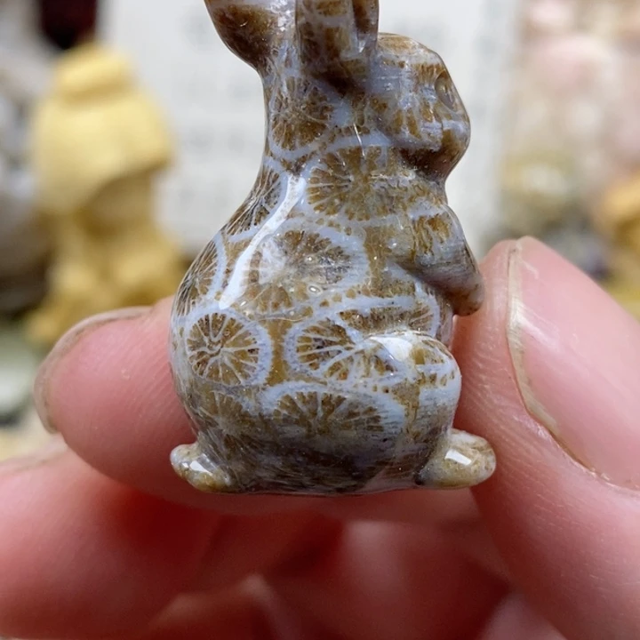 颈饰未镶嵌硅化珊瑚（珊瑚玉）小