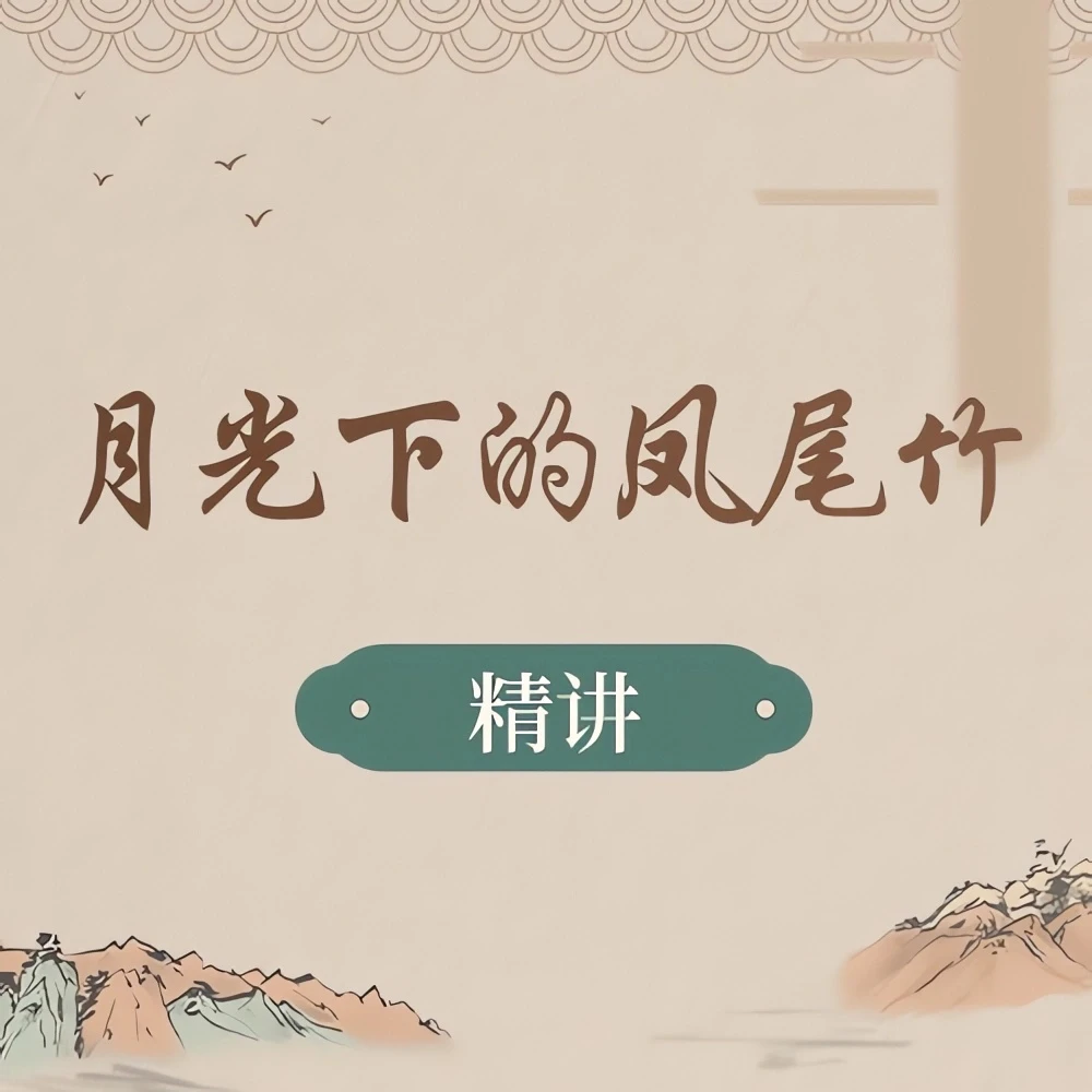 《月光下的凤尾竹》一小时精讲