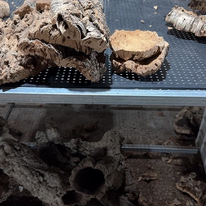 S***l完全开放一物一拍一物一发