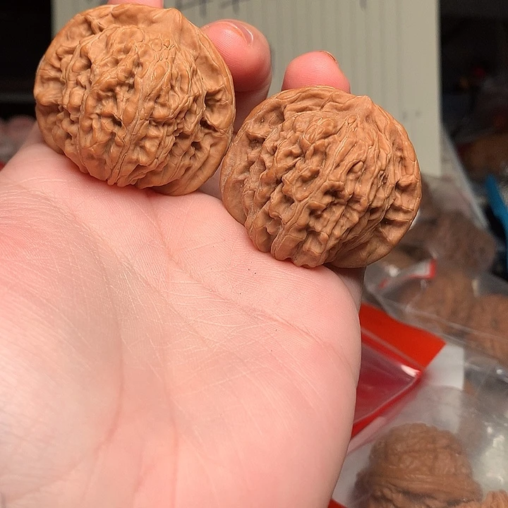 41尺寸四座楼文玩核桃