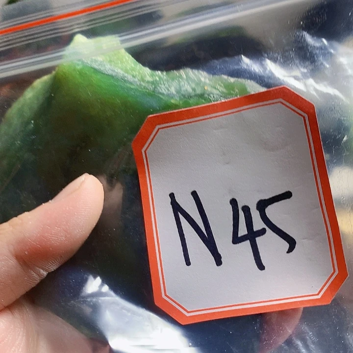 蛇纹石玉未镶嵌手镯蚂*