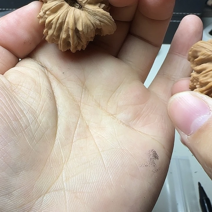 大叶紫檀（黑酸枝木类）