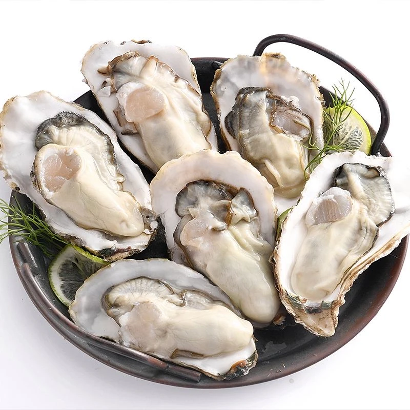 鲜活乳山生蚝5斤装(收拾请备注)