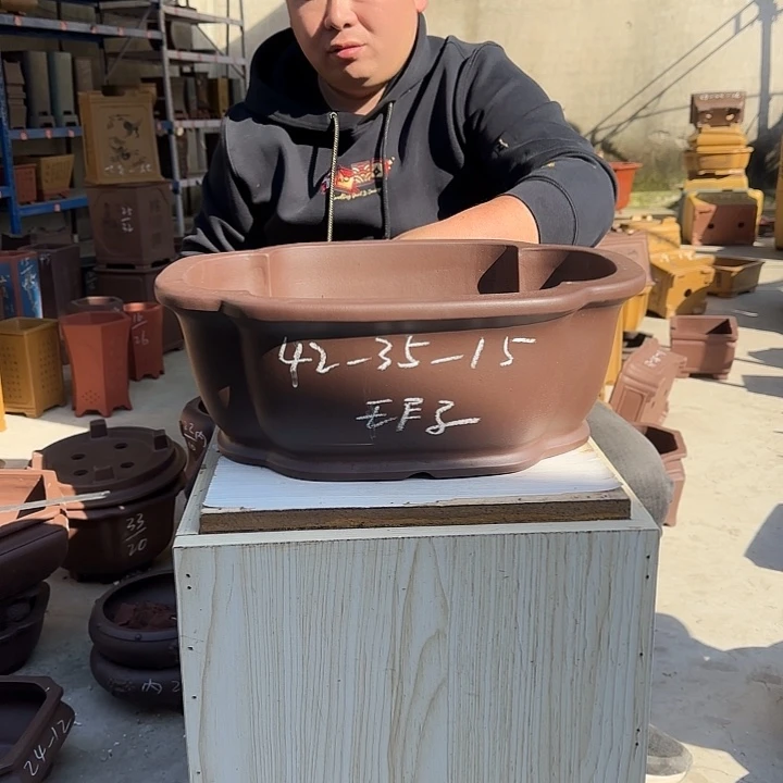 花盆紫砂这是什么